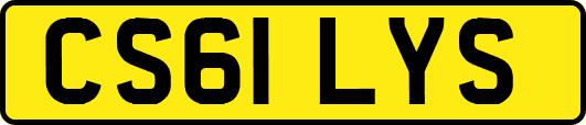 CS61LYS