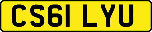 CS61LYU