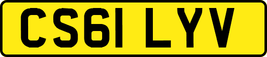 CS61LYV