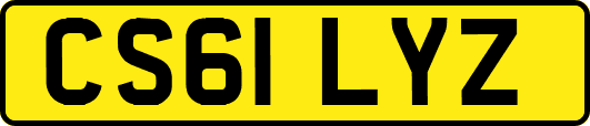 CS61LYZ