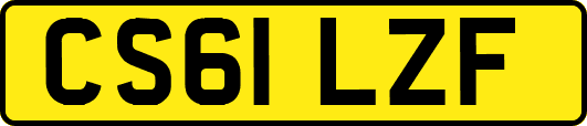 CS61LZF