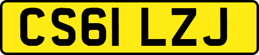 CS61LZJ