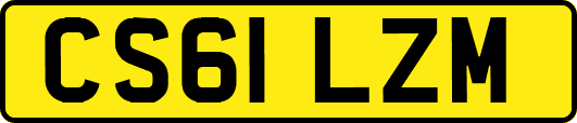 CS61LZM