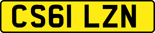 CS61LZN
