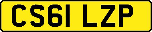 CS61LZP