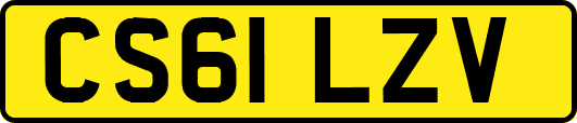CS61LZV