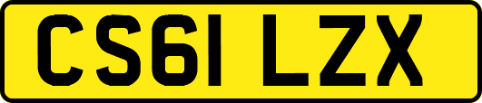 CS61LZX