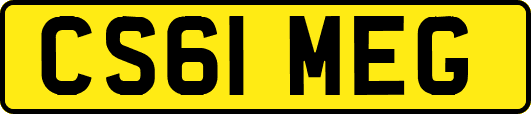 CS61MEG