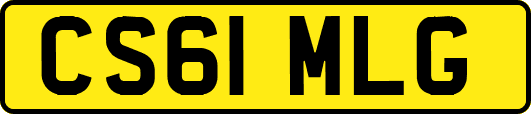 CS61MLG