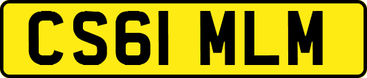 CS61MLM