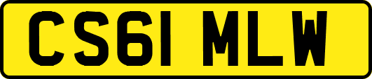 CS61MLW