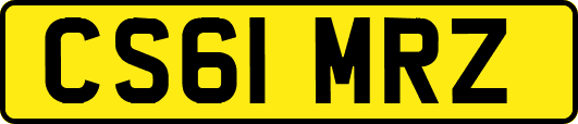 CS61MRZ