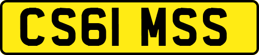 CS61MSS
