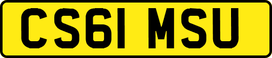 CS61MSU