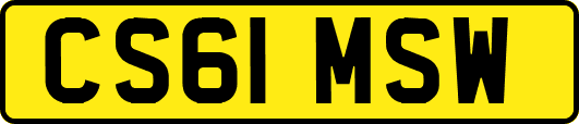 CS61MSW