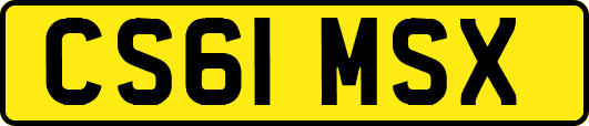 CS61MSX