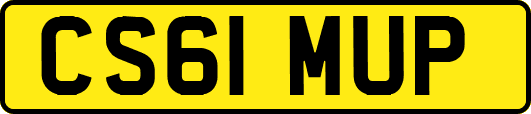 CS61MUP