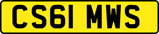 CS61MWS