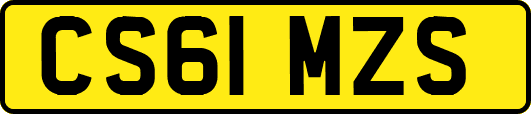 CS61MZS