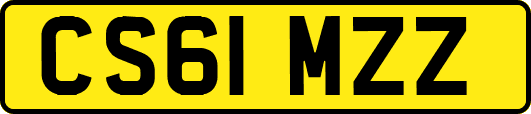 CS61MZZ