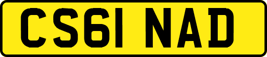 CS61NAD