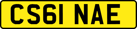 CS61NAE