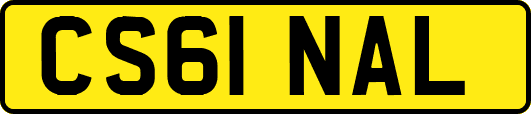 CS61NAL
