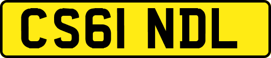 CS61NDL