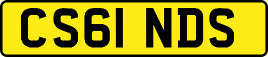 CS61NDS
