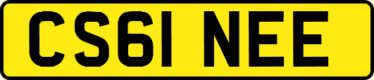 CS61NEE