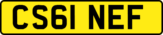 CS61NEF
