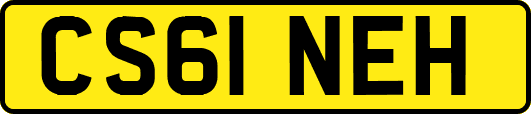 CS61NEH