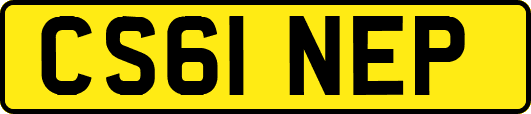 CS61NEP