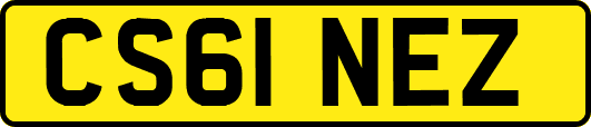 CS61NEZ