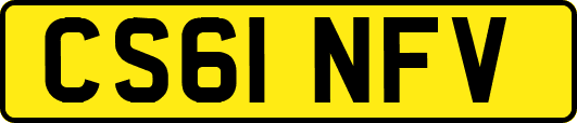 CS61NFV