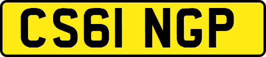 CS61NGP