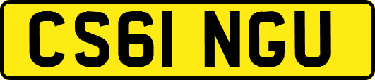 CS61NGU