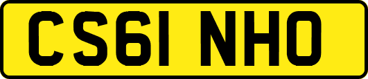 CS61NHO