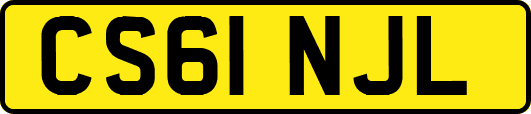 CS61NJL