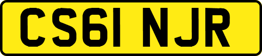 CS61NJR