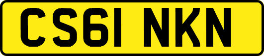 CS61NKN