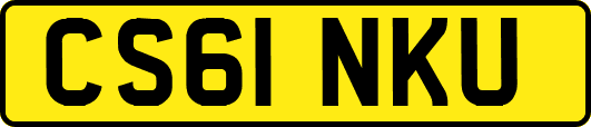 CS61NKU