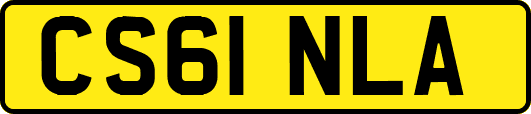 CS61NLA