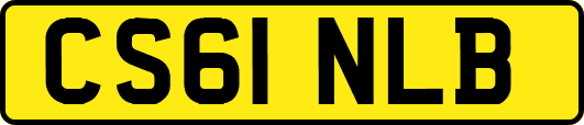 CS61NLB