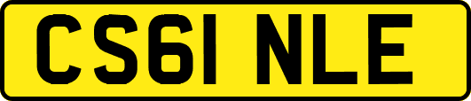 CS61NLE