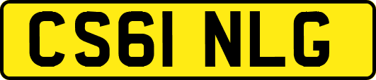CS61NLG