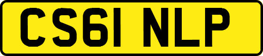 CS61NLP