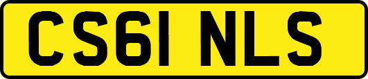 CS61NLS