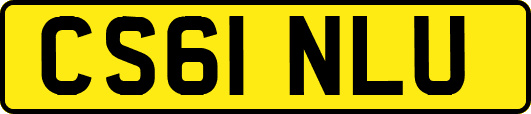 CS61NLU