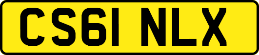 CS61NLX